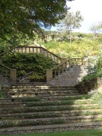 Steps up the very steep garden bank